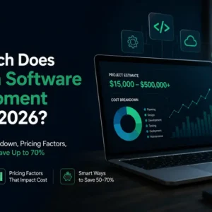 custom software development costs